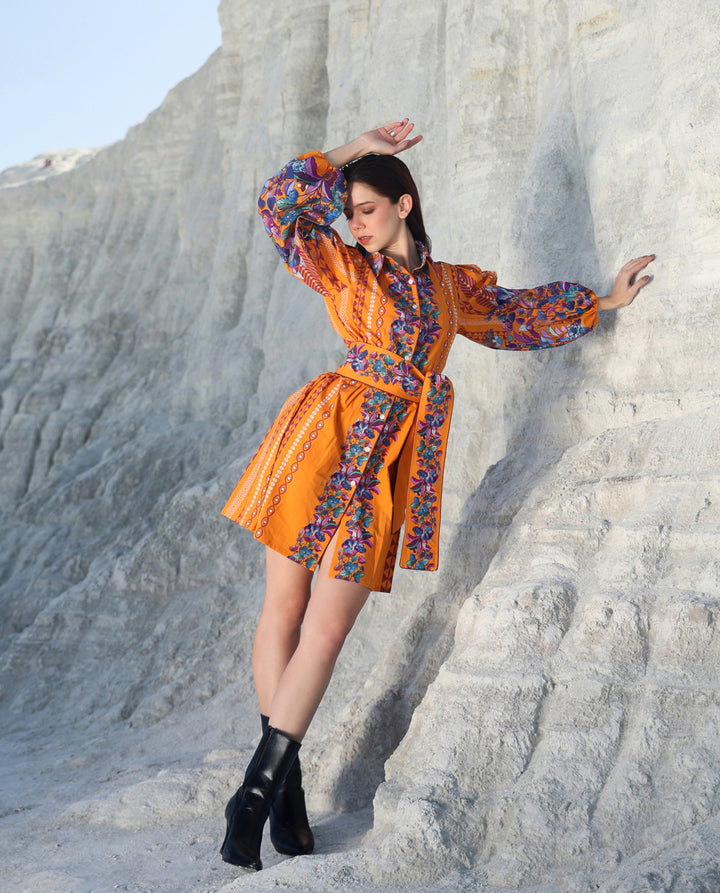 Rust Revenala Mini dress