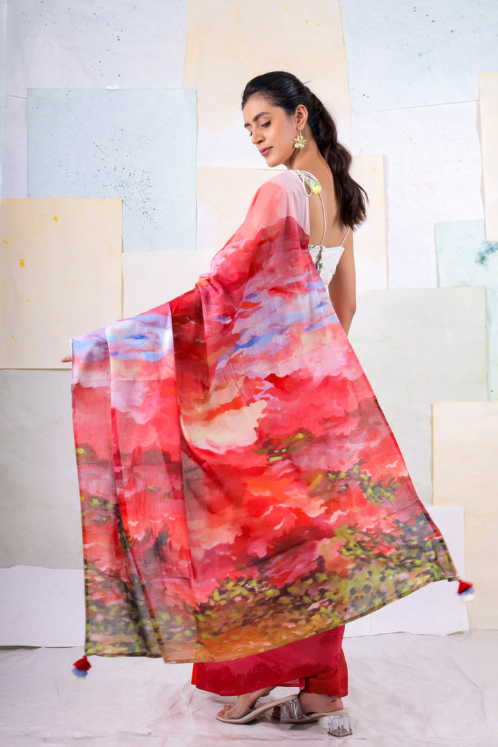 Salmon cloudscape saree